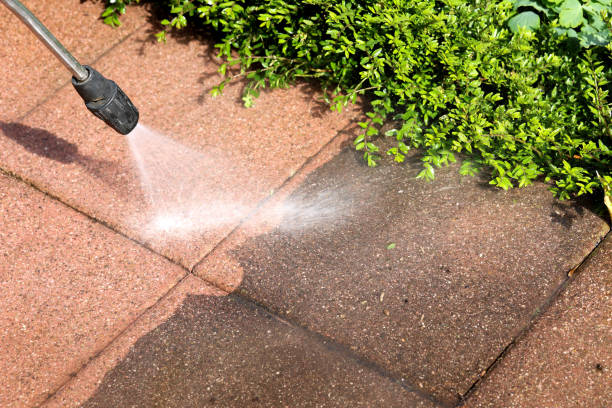 Best House Pressure Washing  in Scenic Oaks, TX